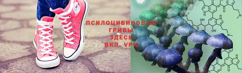 Псилоцибиновые грибы MAGIC MUSHROOMS  блэк спрут зеркало  Давлеканово 